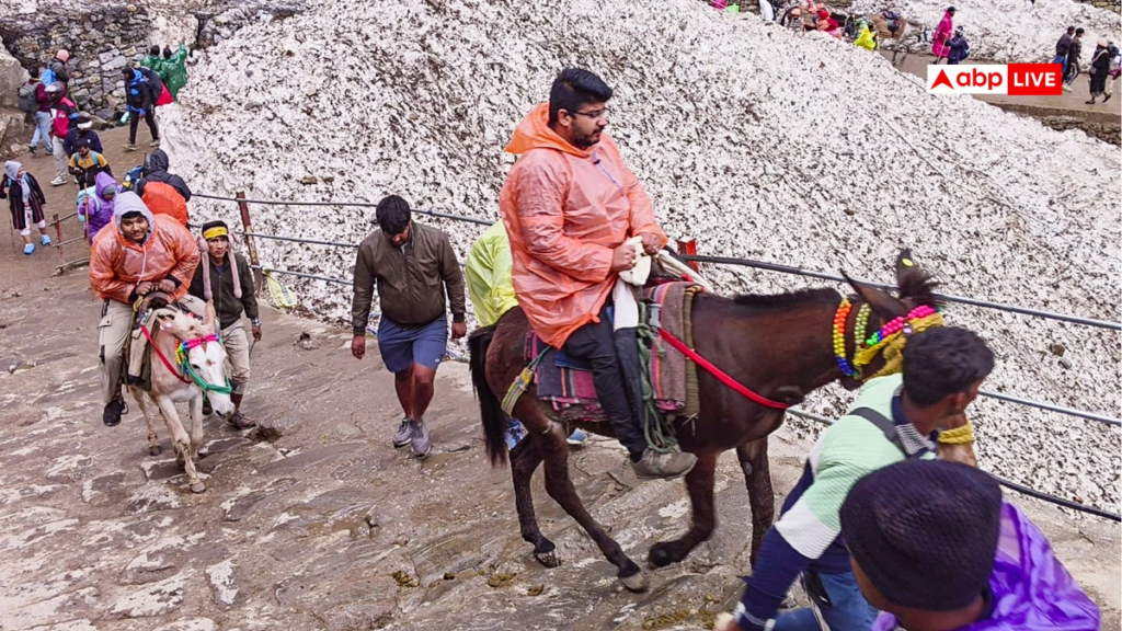 chardham-yatra-2025:-केदारनाथ-यात्रा-के-पैदल-मार्ग-पर-घोड़े-खच्चर-मिलेंगे-या-नहीं?-सामने-आई-ये-अपडेट