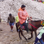 chardham-yatra-2025:-केदारनाथ-यात्रा-के-पैदल-मार्ग-पर-घोड़े-खच्चर-मिलेंगे-या-नहीं?-सामने-आई-ये-अपडेट